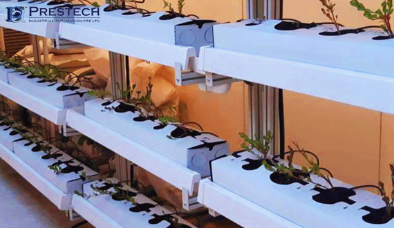 hydroponic_structure image Hydroponic Rack
