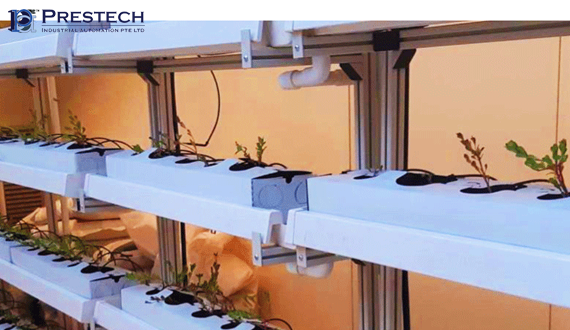 Hydroponic Rack